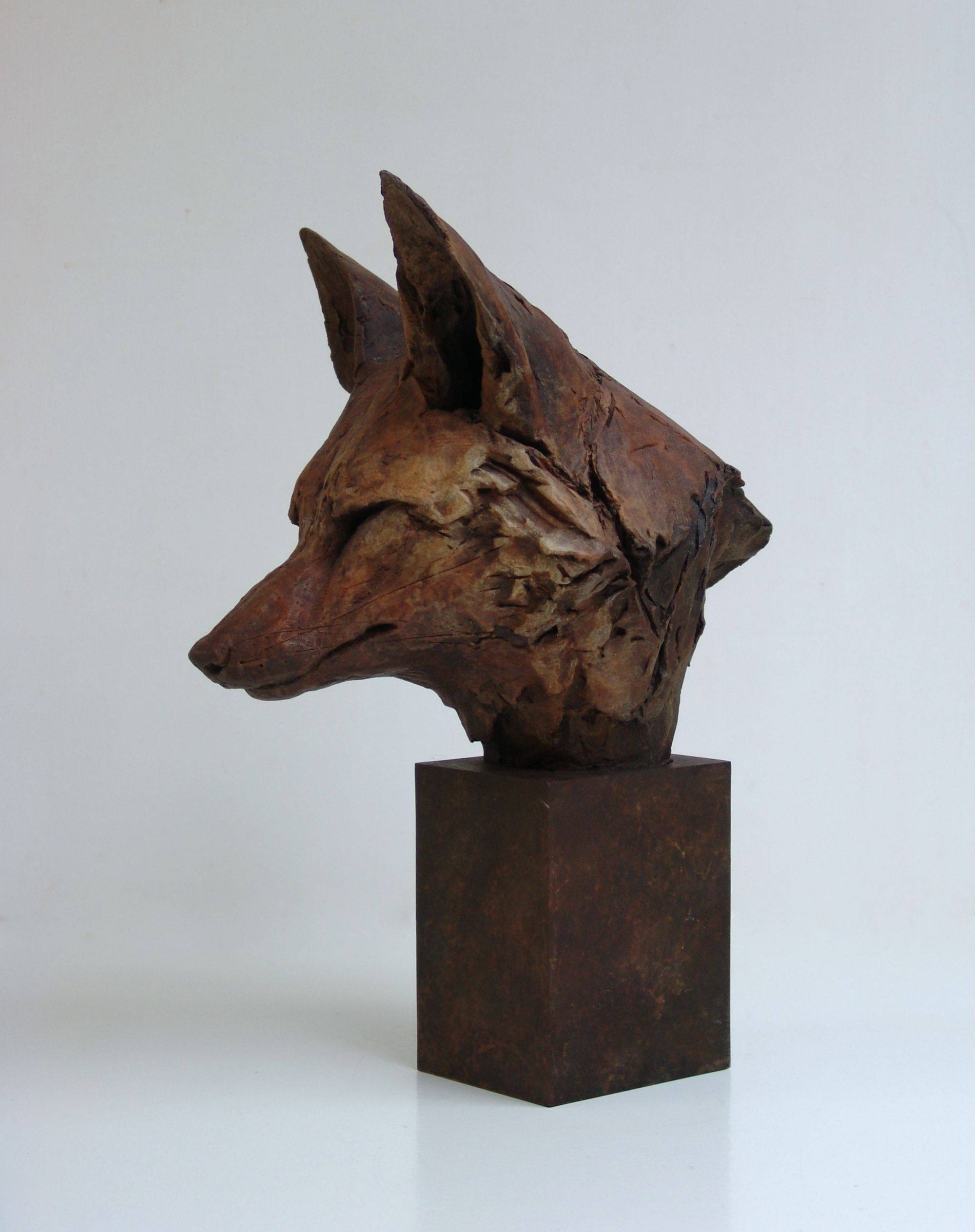 Fox Head Study by Nichola Theakston